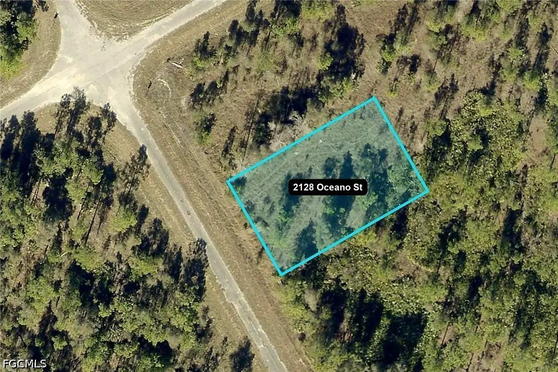 2128 Oceano Street, Lehigh Acres, FL 33972 - #1
