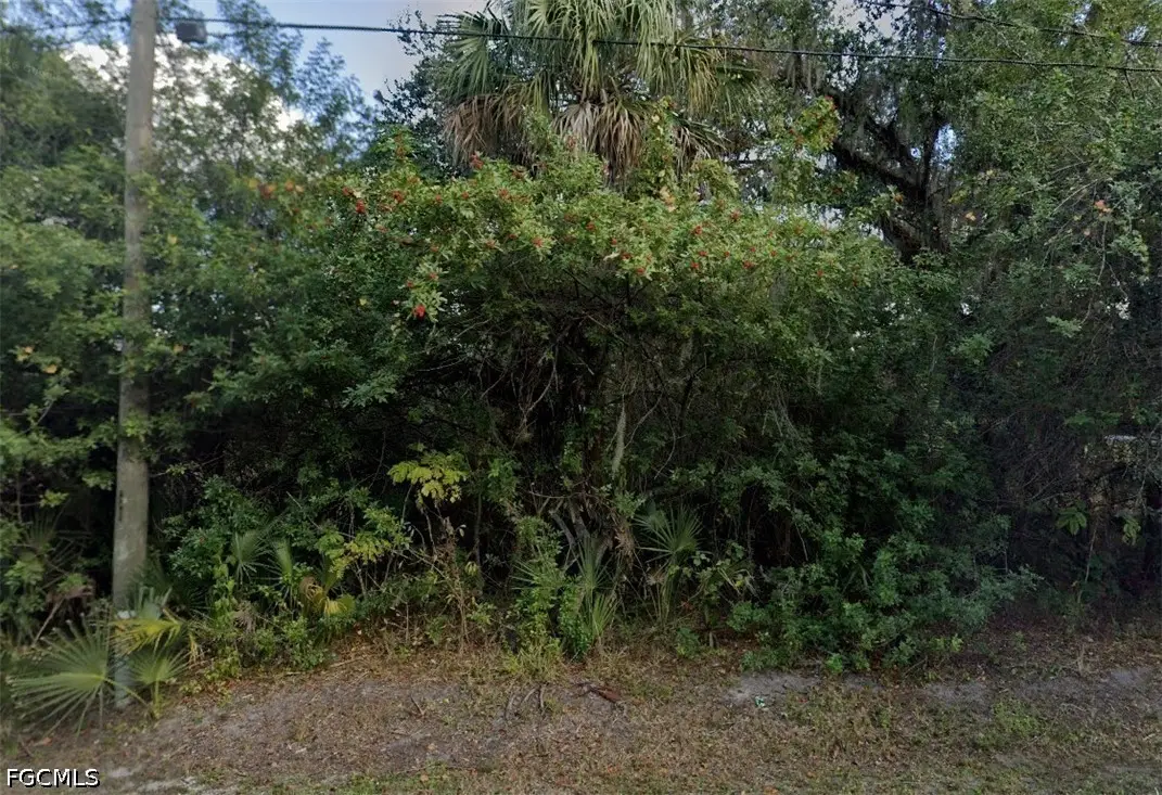 155 S Riverview Street, Labelle, FL 33935 - #1