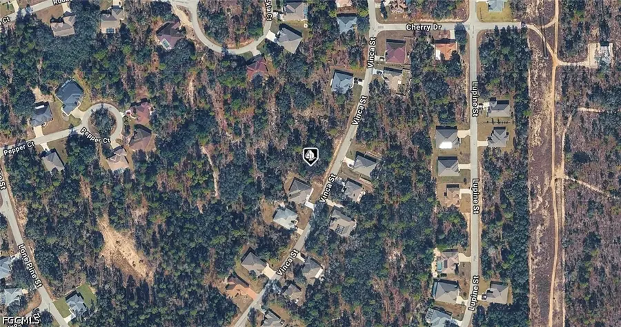 20 Vinca Street, Homosassa, FL 34446 - #2