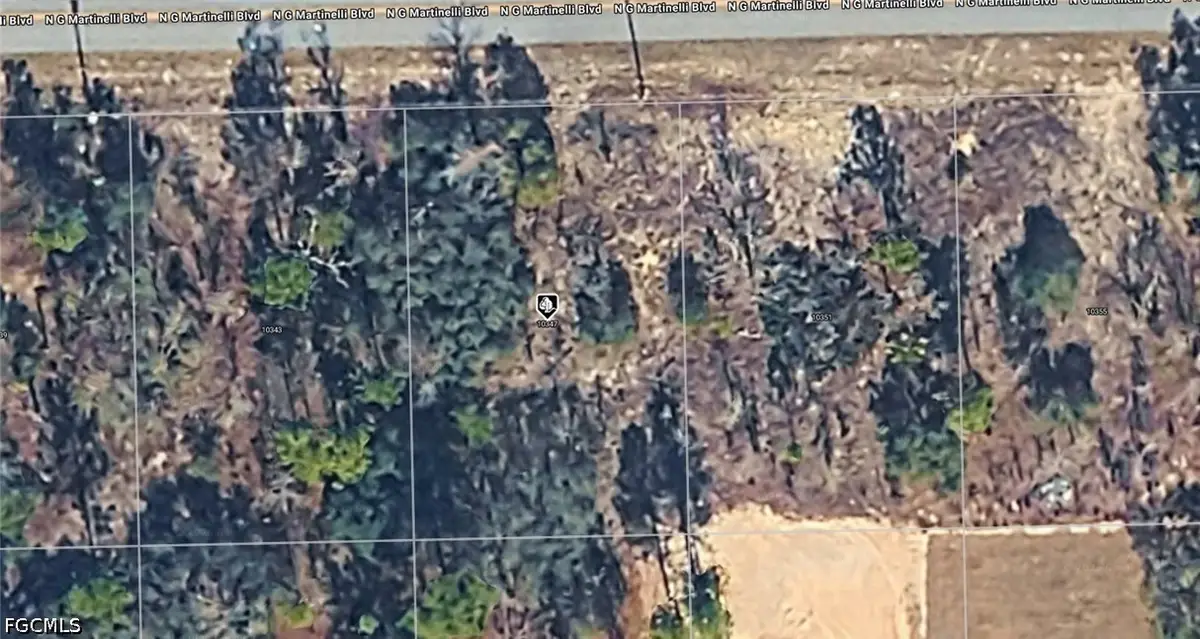 10347 N G Martinelli Boulevard, Citrus Springs, FL 34434 - #1