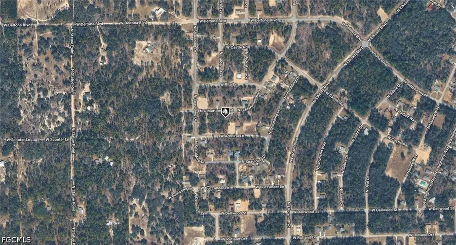 10347 N G Martinelli Boulevard, Citrus Springs, FL 34434 - #3