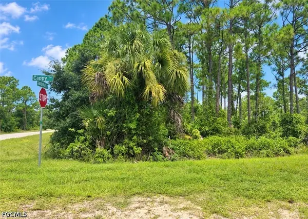 13365 Cappy Terrace, Punta Gorda, FL 33955