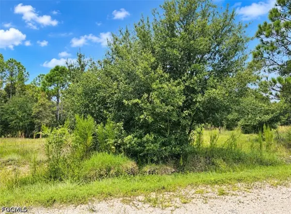 13149 Avalon Drive, Punta Gorda, FL 33955
