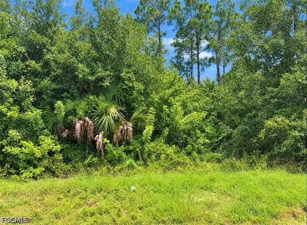 13346 Cappy Terrace, Punta Gorda, FL 33955