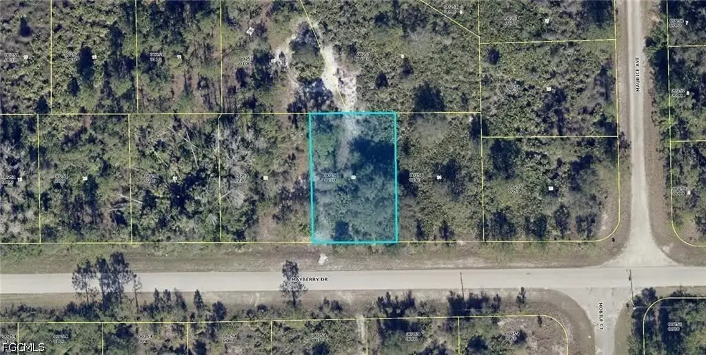 1817 Mayberry Drive, Lehigh Acres, FL 33972 - #1