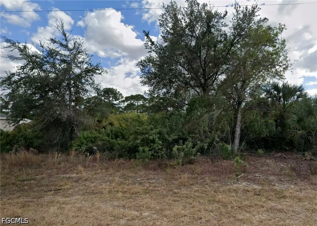1132 Randolph Street, Lehigh Acres, FL 33974 - #1