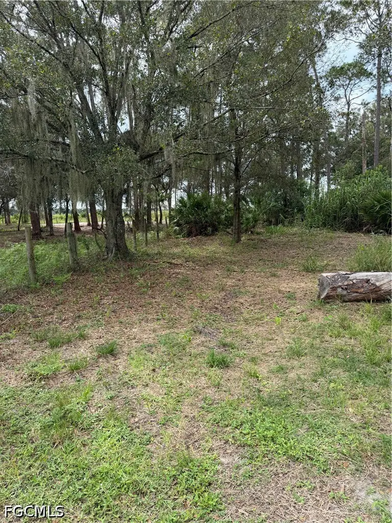 980 N Deer Street, Clewiston, FL 33440 - #2