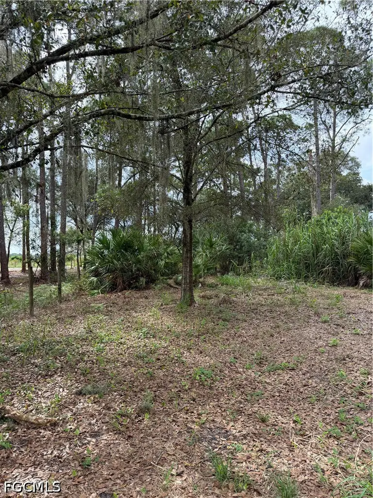 980 N Deer Street, Clewiston, FL 33440 - #3