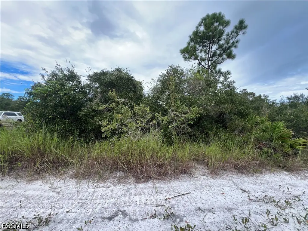 4187 E 27th Street, Alva, FL 33920 - #1
