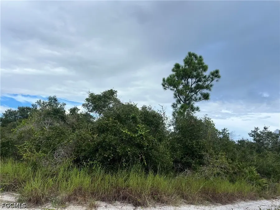 4187 E 27th Street, Alva, FL 33920 - #3