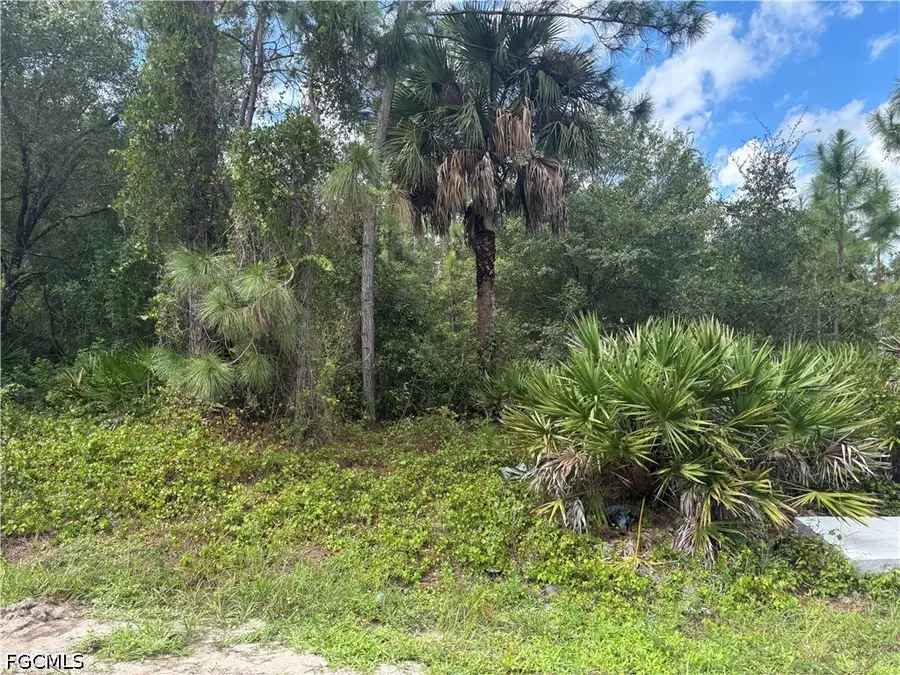 1113 Euclid Avenue, Lehigh Acres, FL 33972 - #3