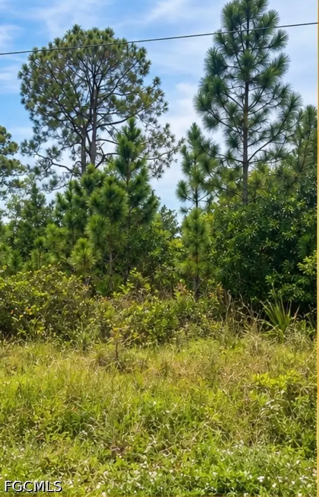 27195 Notre Dame Boulevard, Punta Gorda, FL 33955 - #2