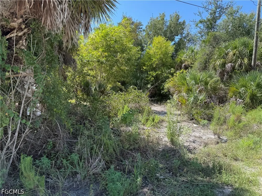 7421 Kreamers Drive, Bokeelia, FL 33922 - #1