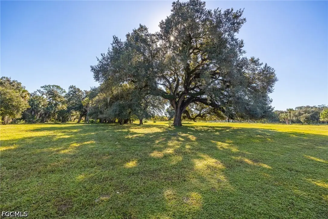 3251 Bateman Road, Alva, FL 33920 - #1