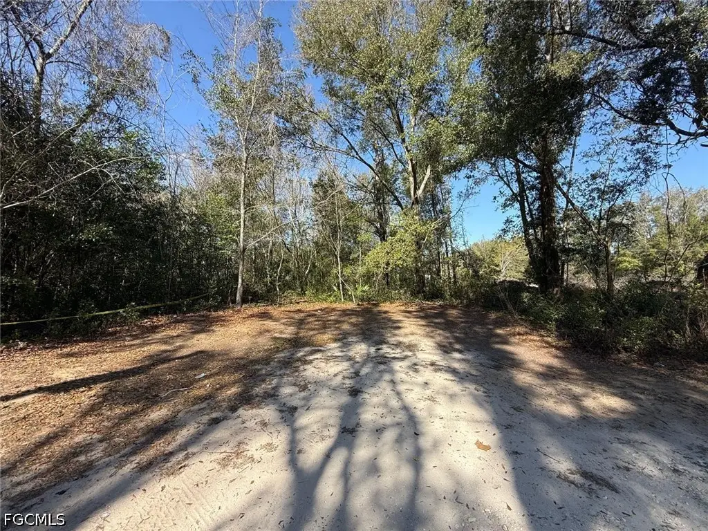 1028 Hansen Street E, Lehigh Acres, FL 33974 - #1