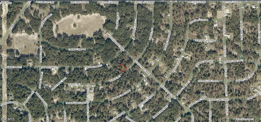 9038-1252-28 Guava Trail, Ocklawaha, FL 32179 - #2