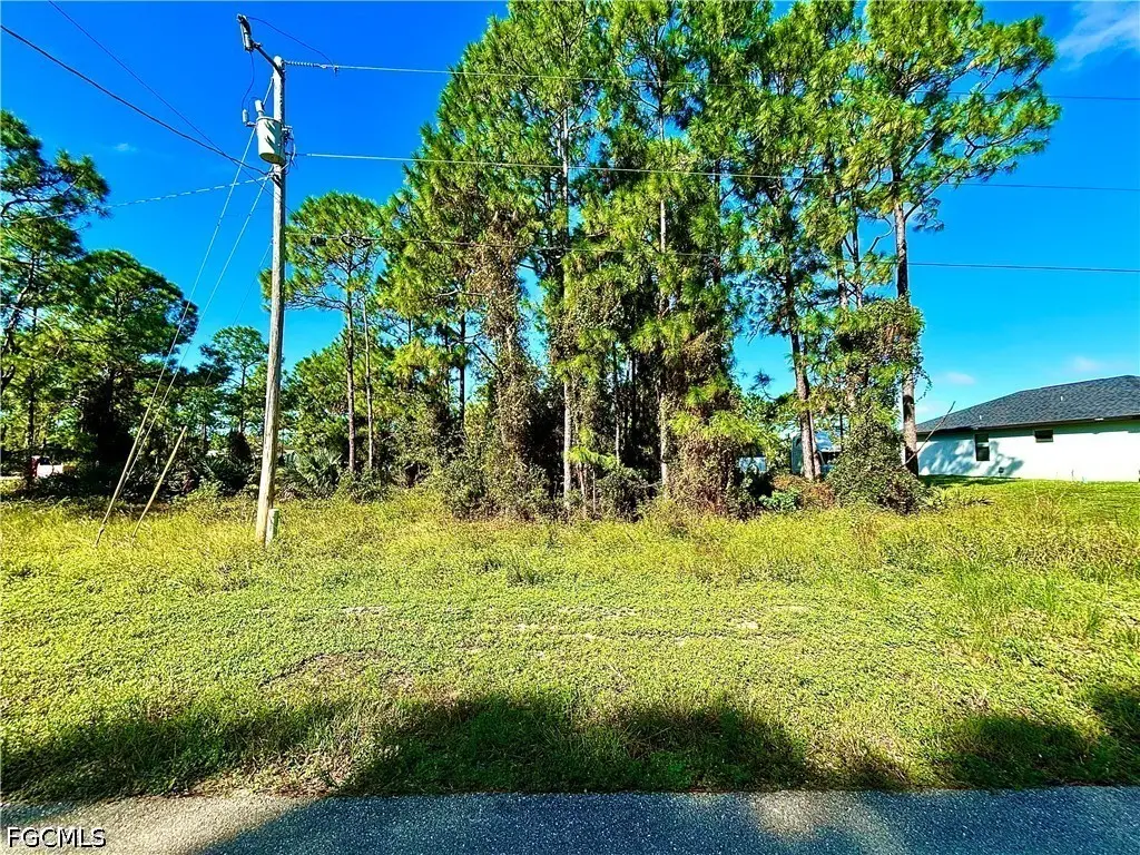 812 Downer Avenue S, Lehigh Acres, FL 33974 - #1