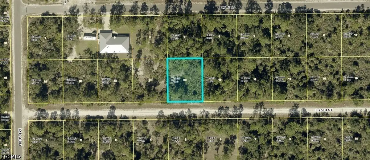 4199 E 25th Street, Alva, FL 33920 - #1