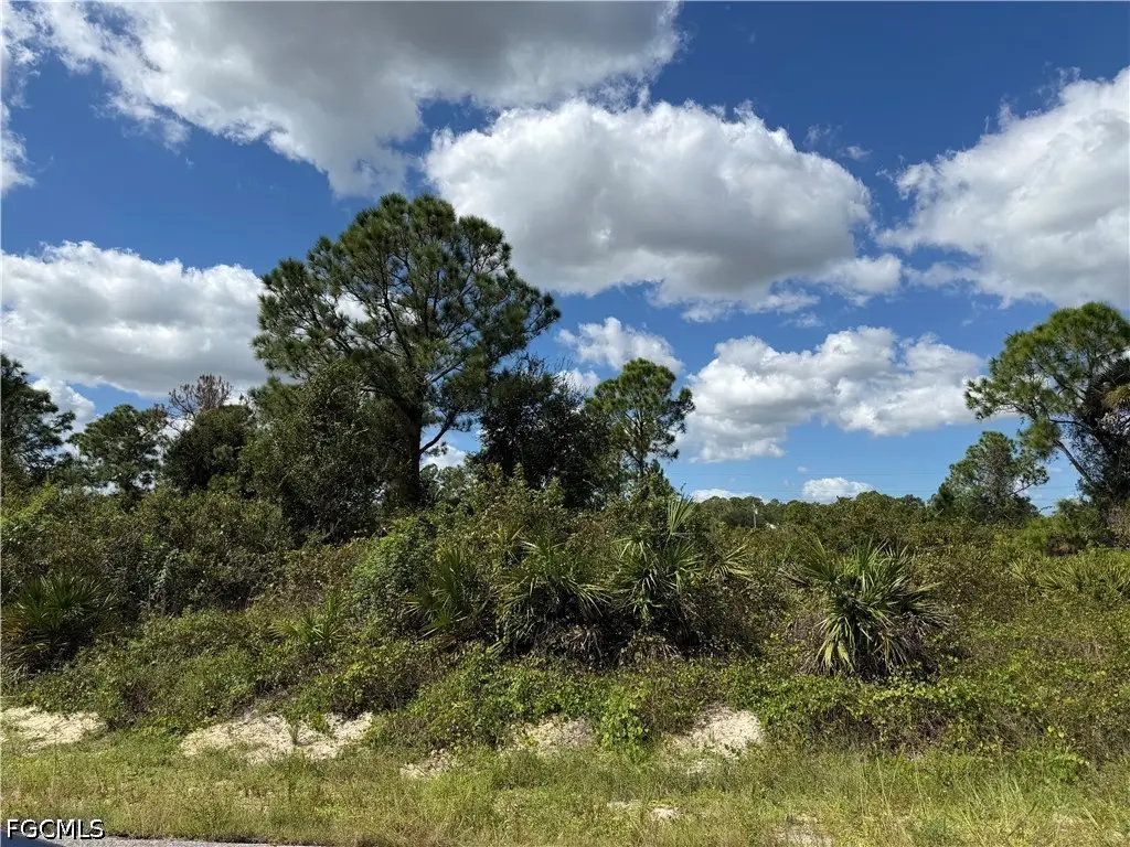 1203 Plumosa Avenue, Lehigh Acres, FL 33972 - #1