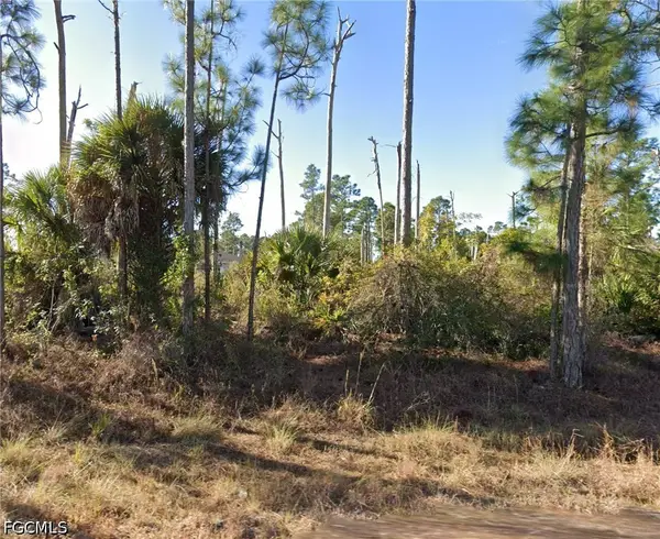 1108 Plantation Road, Lehigh Acres, FL 33974
