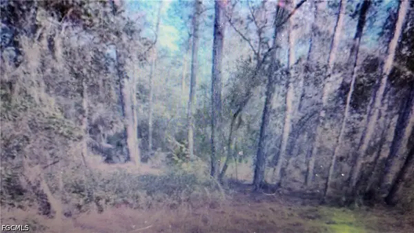 113 Carr Place, Satsuma, FL 32189