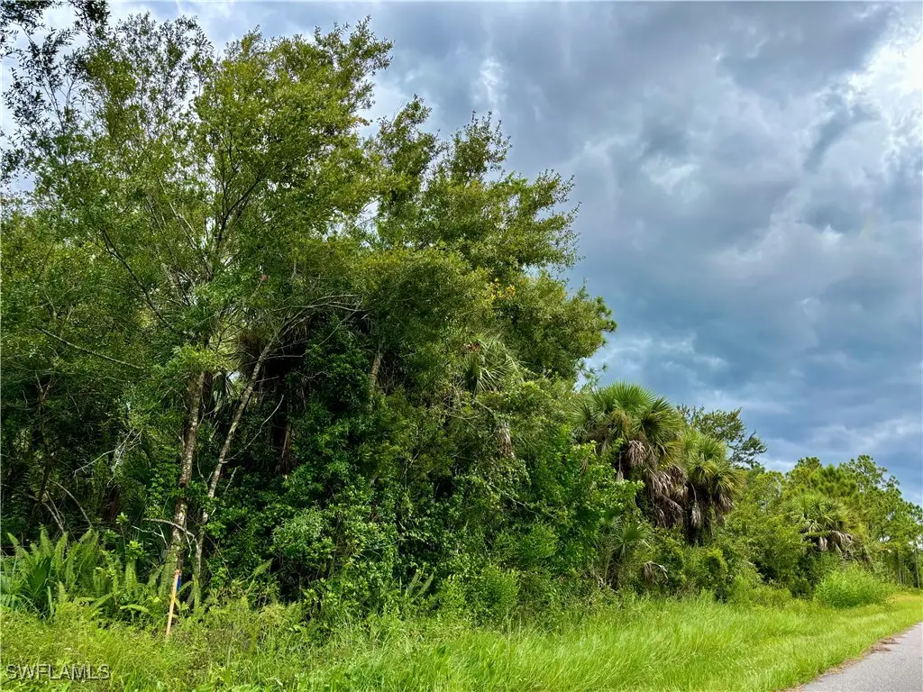 26373 & 26377 Deer Road, Punta Gorda, FL 33955 - #1