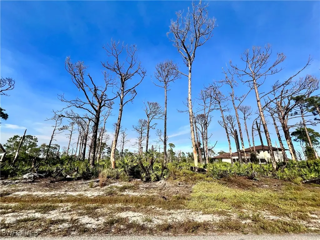 6 Adrift Court, Placida, FL 33946 - #1