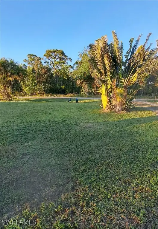 #3