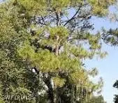 2nd Avenue Ne, Naples, FL 34120