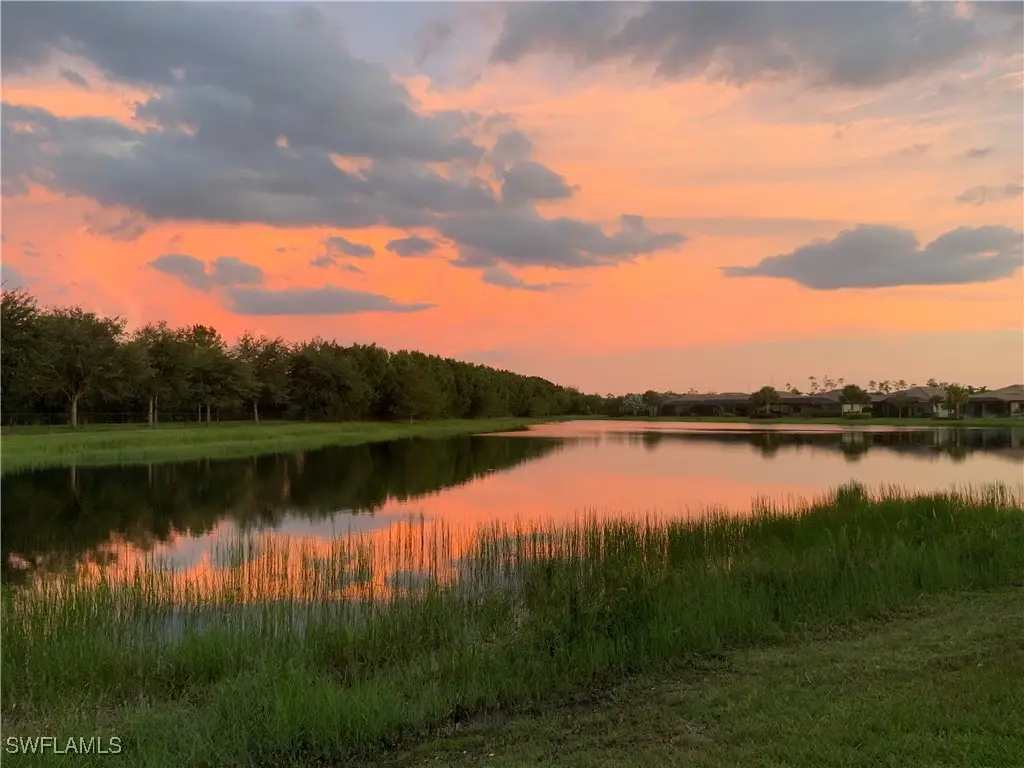 20309 Black Tree Lane, Estero, FL 33928 - Image #1