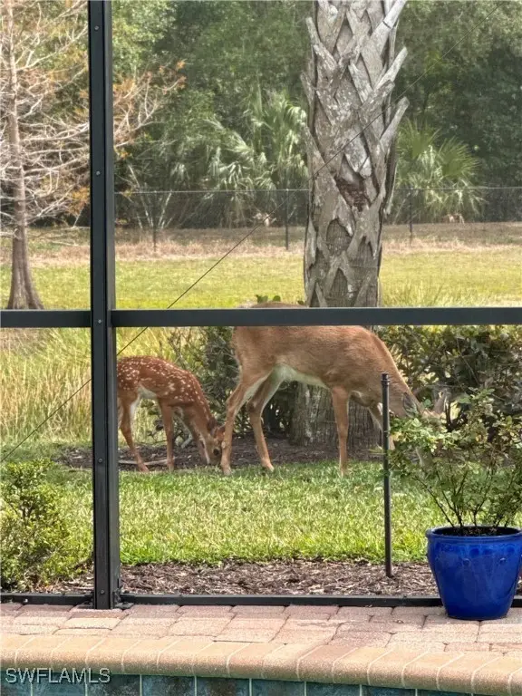 20309 Black Tree Lane, Estero, FL 33928 - Image #2