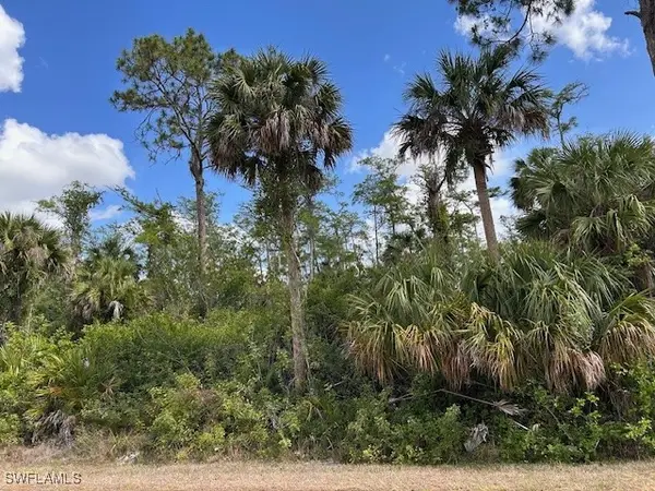 27XX 18th Avenue Ne, Naples, FL 34120