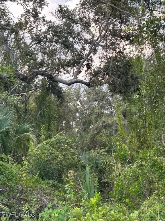 29431 Nottingham Road, Punta Gorda, FL 33982 - #3