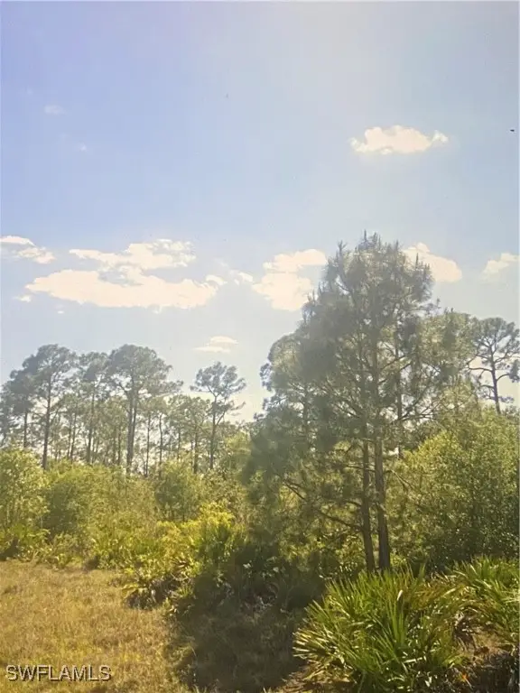 1513 Poinsettia Avenue, Lehigh Acres, FL 33972 - Image #2