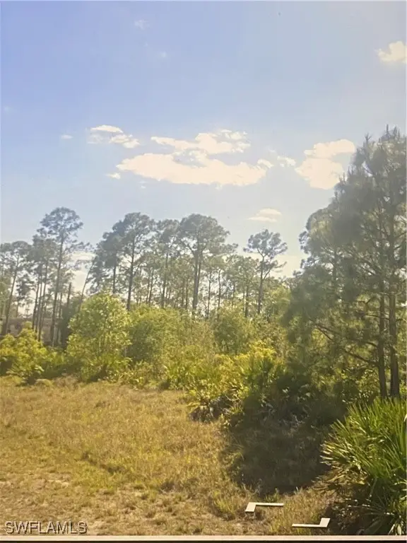 1513 Poinsettia Avenue, Lehigh Acres, FL 33972 - Image #3