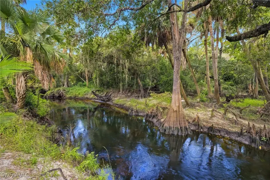 12025 Carpenter Lane, Bonita Springs, FL 34135 - Image #2