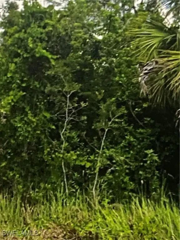 6007 Rita Avenue N, Lehigh Acres, FL 33971 - Image #2