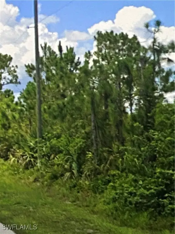 6007 Rita Avenue N, Lehigh Acres, FL 33971 - Image #3