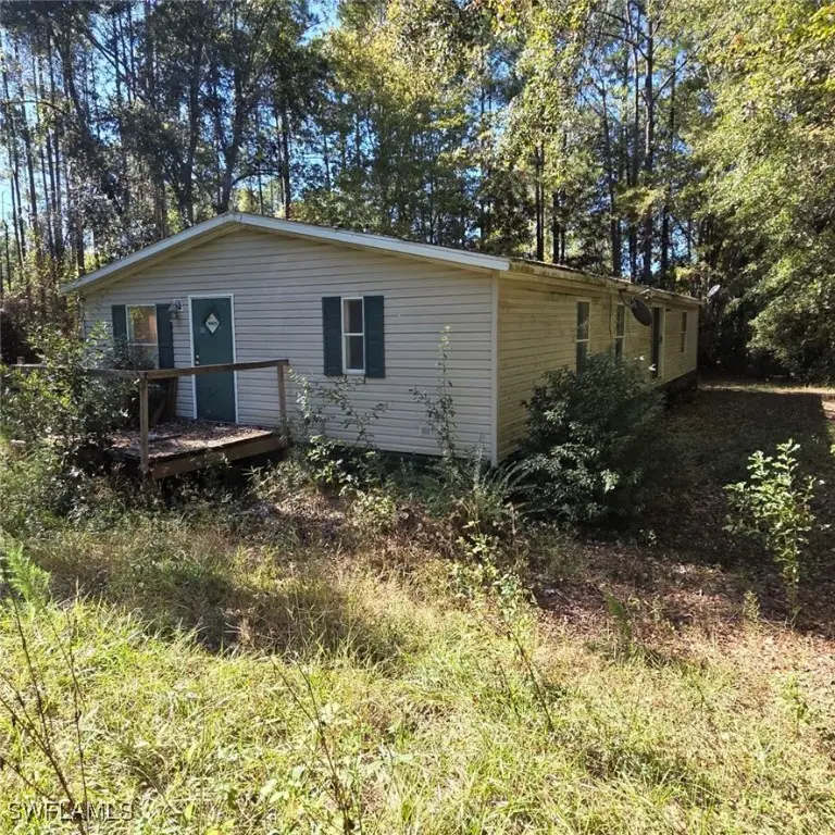 4860 Fireweed Street, Middleburg, FL 32068 - Image #2