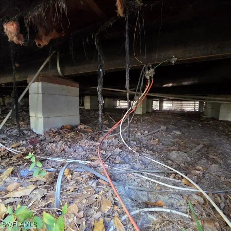 4860 Fireweed Street, Middleburg, FL 32068 - Image #3