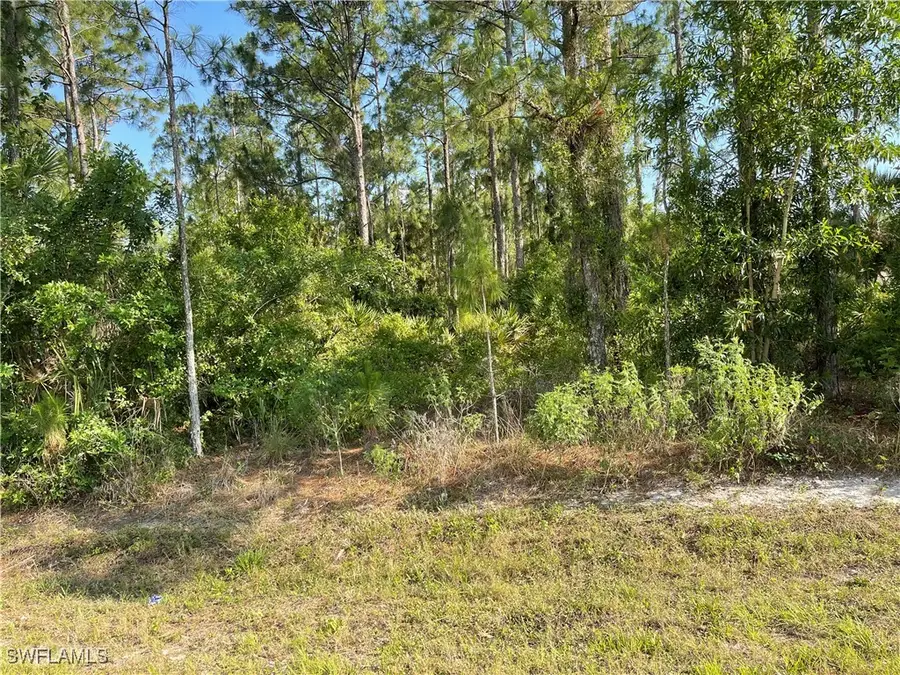0 29th Ave Everglades Boulevard, Naples, FL 34120 - Image #2