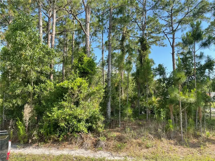 0 29th Ave Everglades Boulevard, Naples, FL 34120 - Image #3