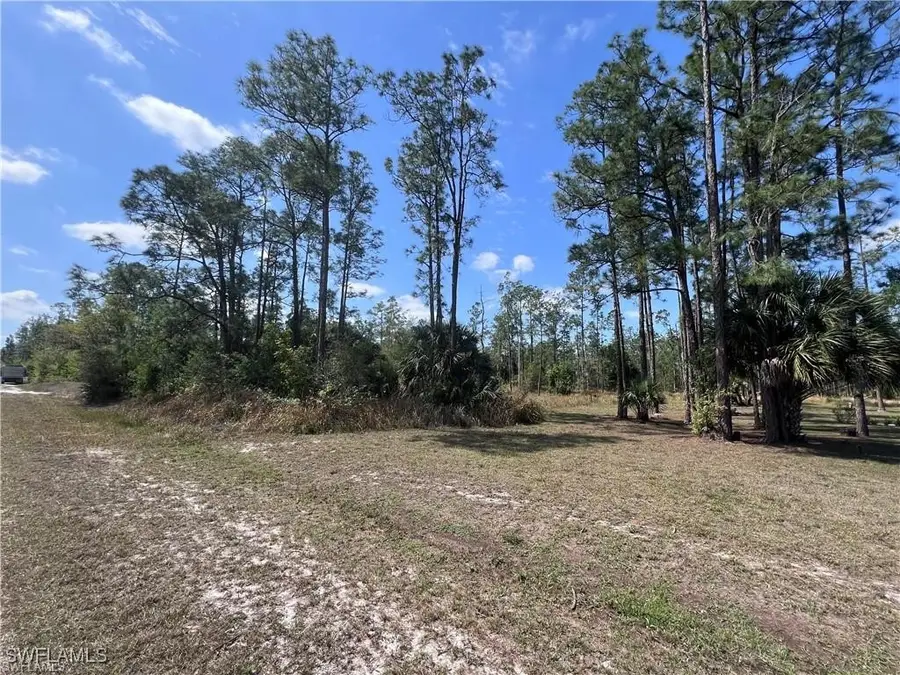 1317 Washington Avenue, Lehigh Acres, FL 33972 - Image #3