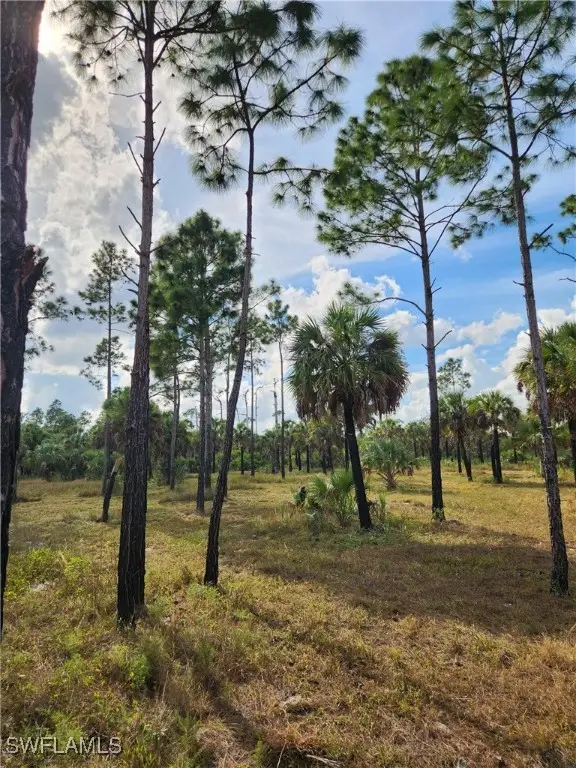 2201 Ivy Way, Naples, FL 34117 - Image #2