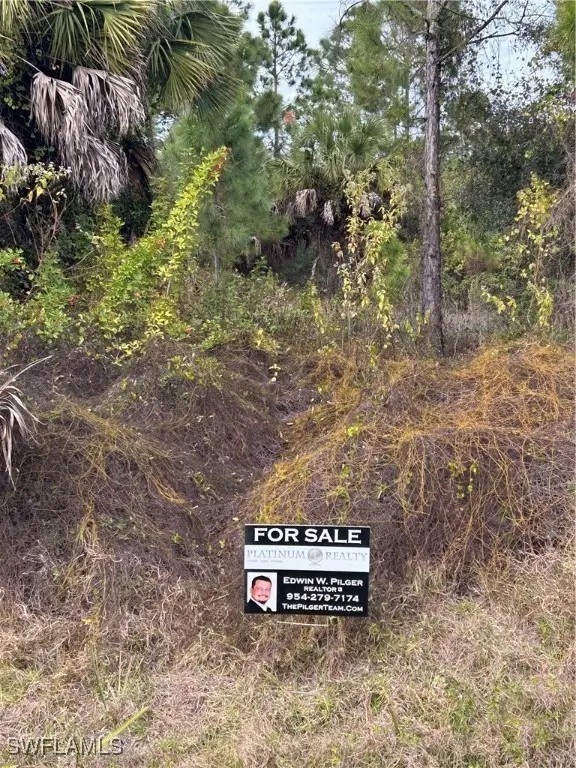 1221 24th Avenue Ne, Naples, FL 34120 - Image #2