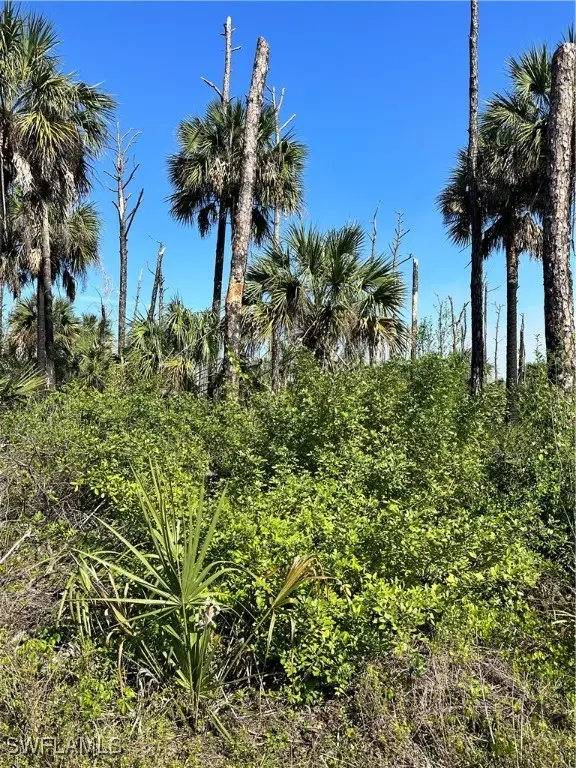 32nd Ave Se, Naples, FL 34117 - Image #3