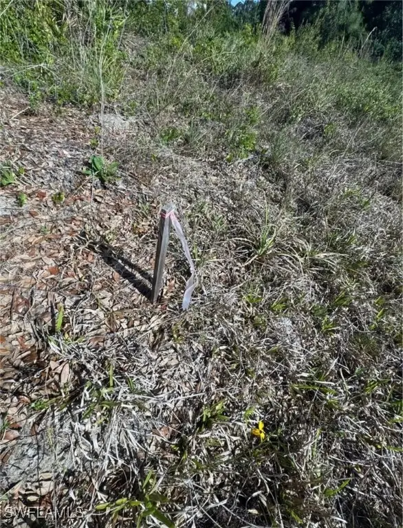 3421 59th Street W, Lehigh Acres, FL 33971 - Image #2