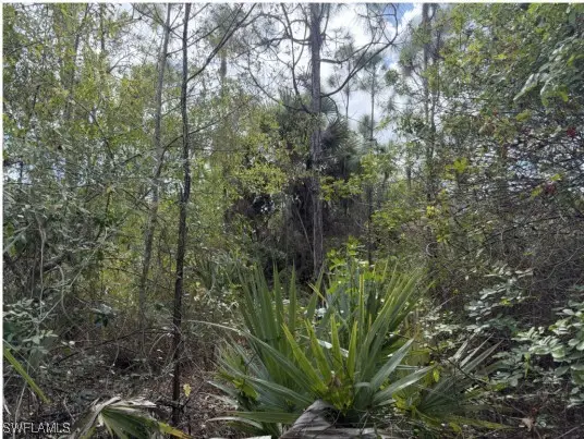 xxxx 52nd Avenue Ne, Naples, FL 34120 - Image #1