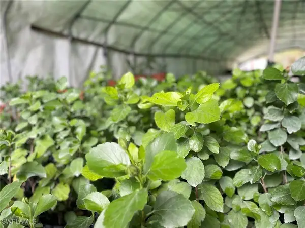 2185 Markley Avenue, Naples, FL 34117