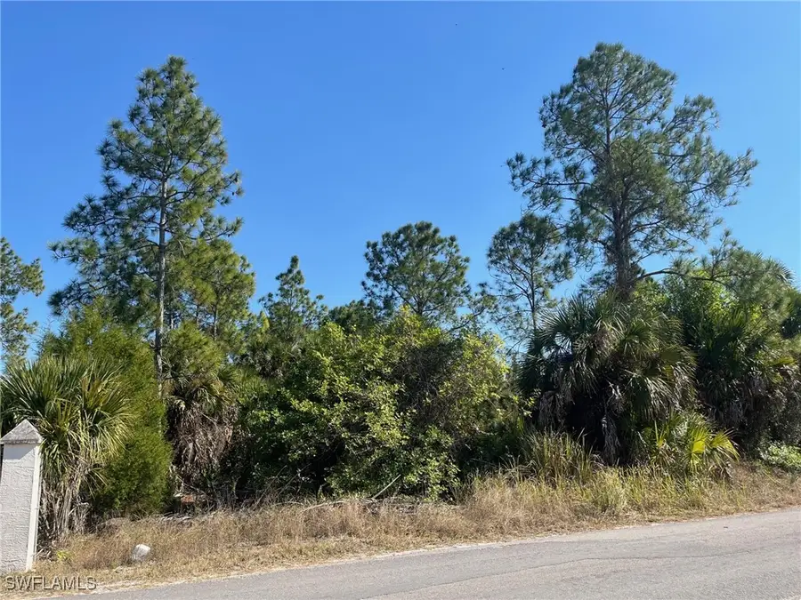 Dove Tree Street, Naples, FL 34117 - #2